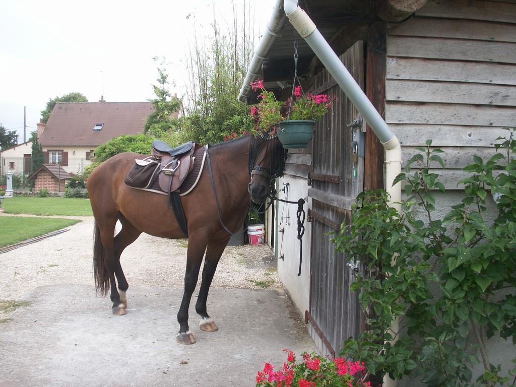 Le Clos Des Perraudieres Cour-Cheverny Zewnętrze zdjęcie